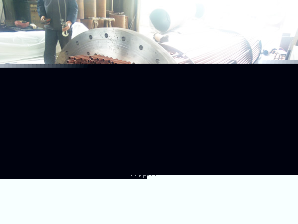 肇東電廠 - 300㎡換熱器冷卻芯